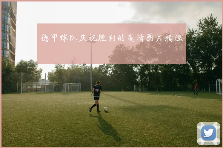 德甲球队庆祝胜利的高清图片精选