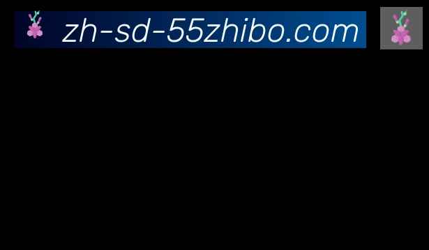 55直播合作伙伴
